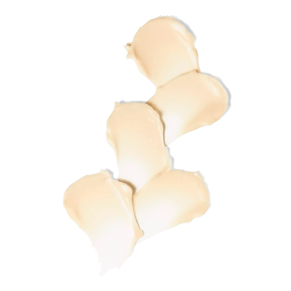 Undaria Algae Body Butter – Image 2